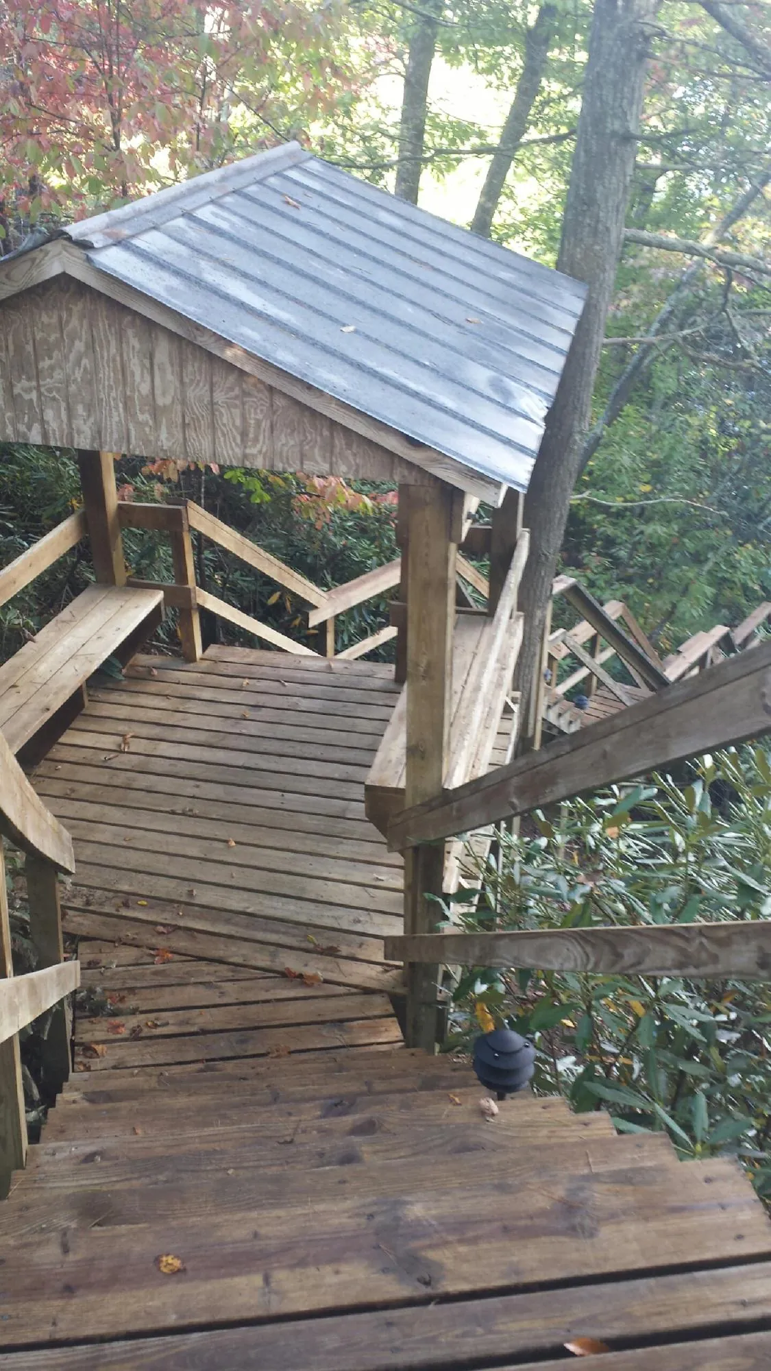 Metal roofed shelter over wooden steps on a wooded walkway — Skylight Repair & Installation work by our crew in Pendergrass